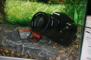 Sandisk displayed a camera and a couple of flash cards submerged in a fishtank. I wouldn't recommend this.