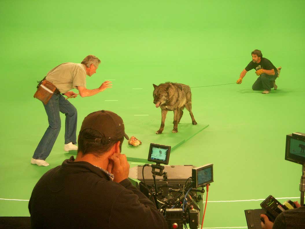 Hollywood Center Studios Hosts Stock Shoot for GreenScreen Animals – Below  the Line
