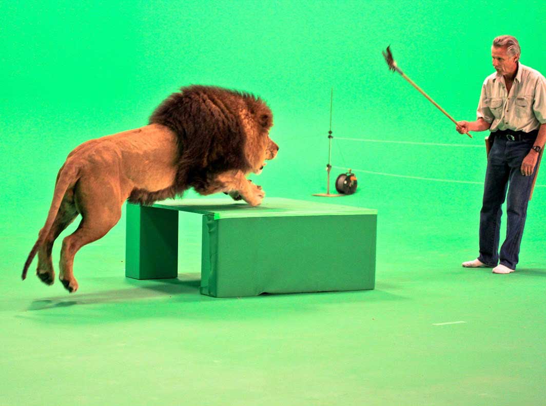 Hollywood Center Studios Hosts Stock Shoot for GreenScreen Animals – Below  the Line