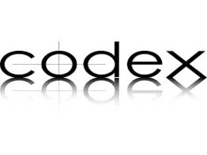 LR-Codex Logo-email