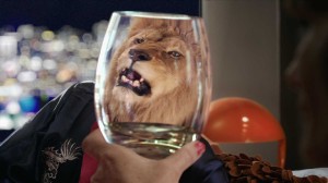LR-lion in glass