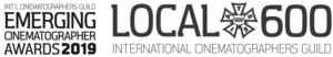 ICG.ECA.logo